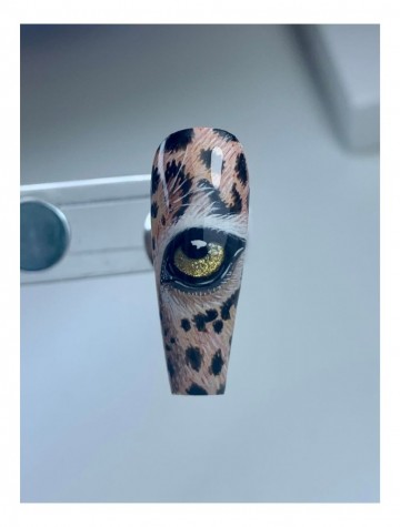 3176407898493097394510955435969799921579835n11 1